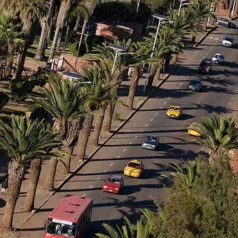 FB IMG 1679468537106