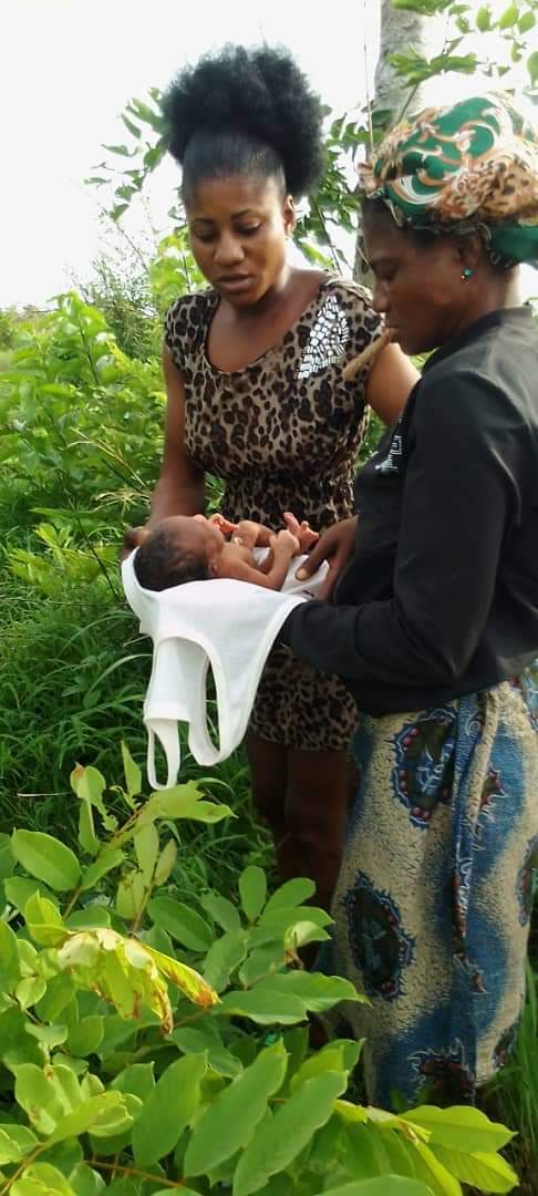 FB IMG 1680615692768