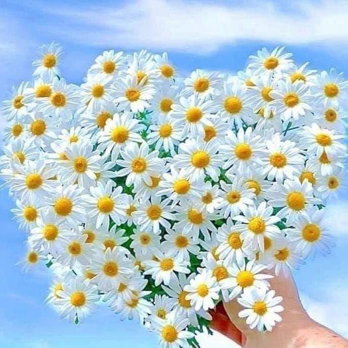 FB IMG 1680710845974 1