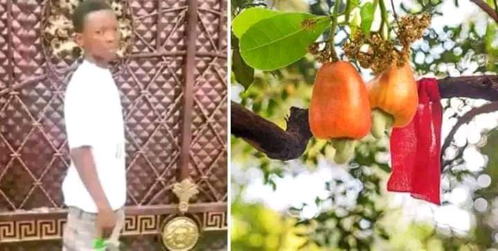 FB IMG 1682919325827