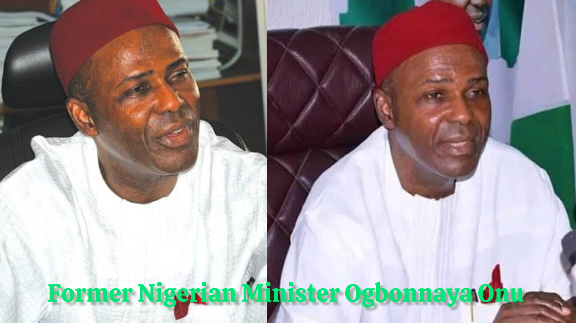 Former Nigerian Minister Ogbonnaya Onu biography