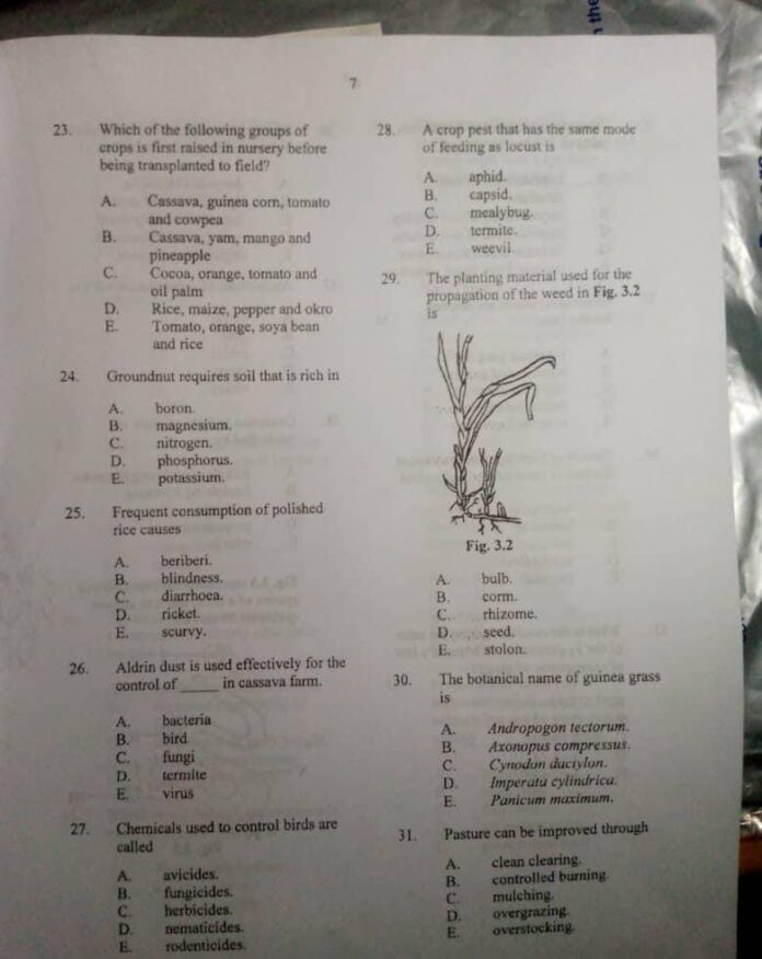 NECO Agricultural Science (OBJ/ ESSAY) Questions and Answers 2024