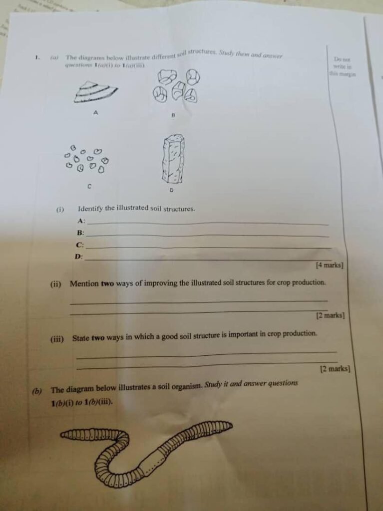 2024 WAEC FOOD AND NUTRITION QUESTIONS AND ANSWERS PDF FREE DOWNLOAD visual data 5
