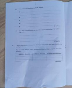 2025 NECO GCE Health Education Questions and Answers
