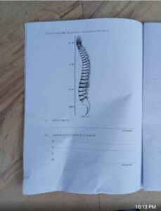 2025 NECO GCE Health Education (Practical) Questions and Answers