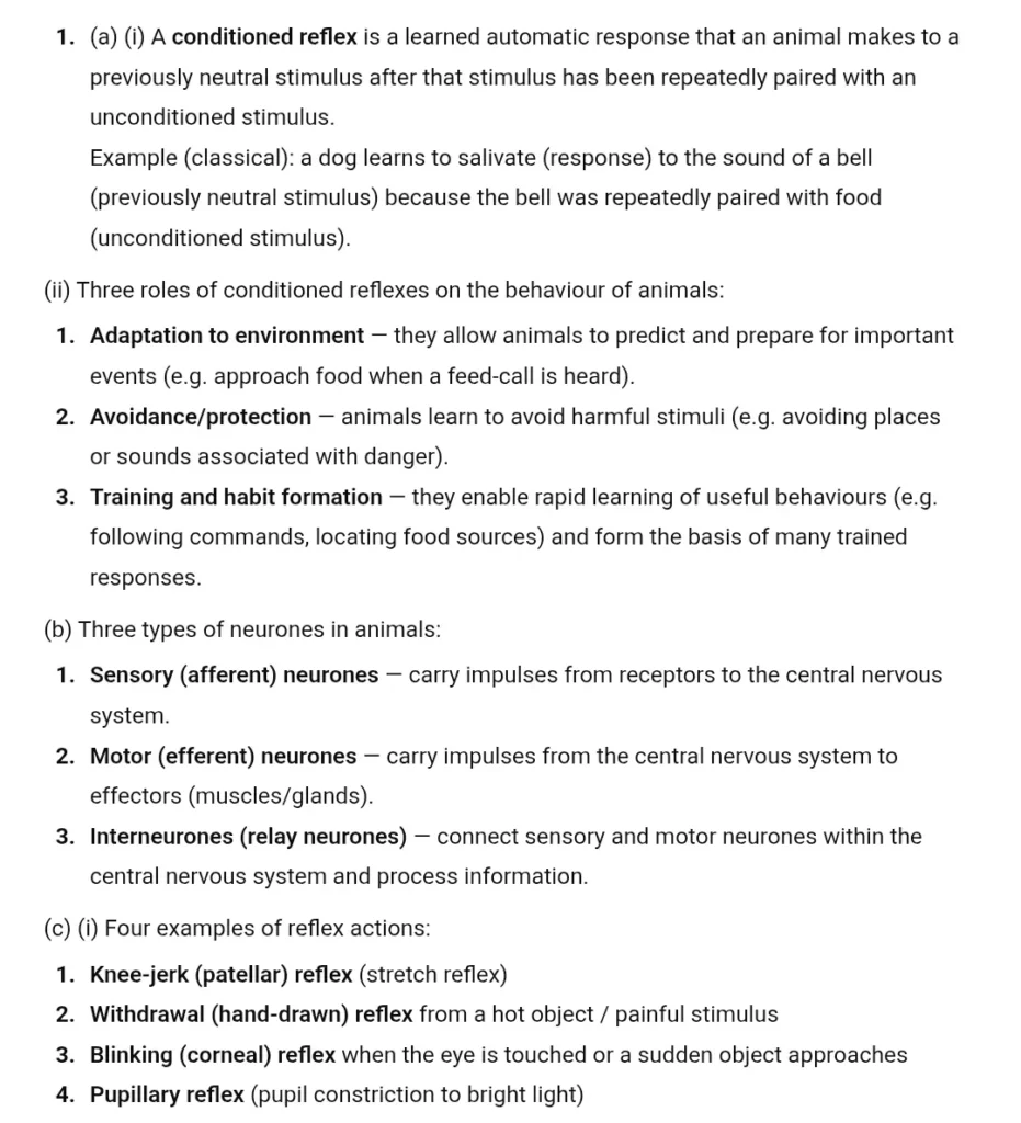 Screenshot 20251126 102749